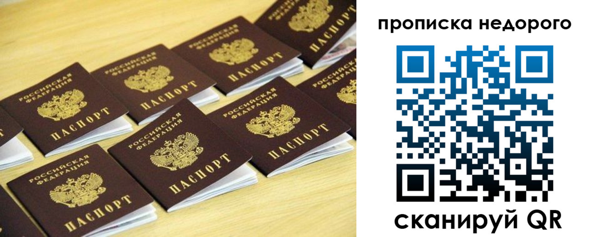 прописка для работы в Фокино